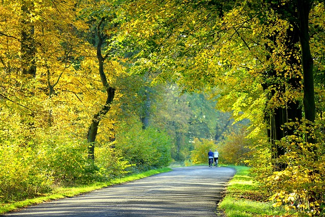 cyklisté v přírodě