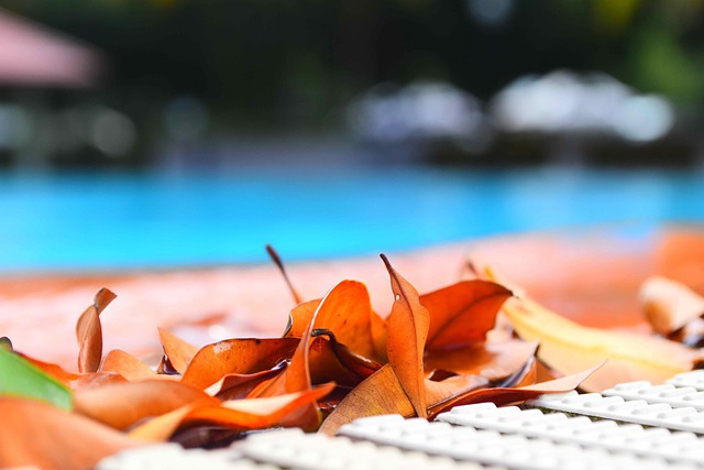 podzim u bazénu